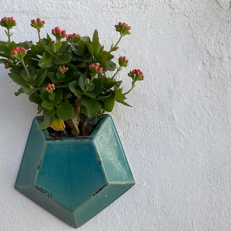 Pensionat Residencial Arabi Portimão