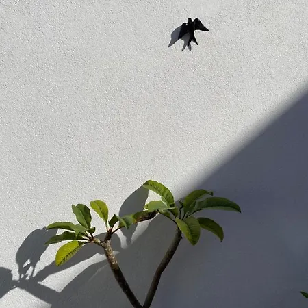 Residencial Arabi 3*